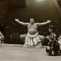 超希少　51代横綱　玉の海　若乃花　日本相撲協会 西日本新聞社写真部　手焼き 写真　相撲　昭和45年11月17日　記念　全国送料無料　No.10_画像3