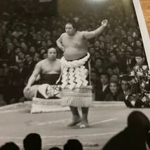 超希少　51代横綱　玉の海　若乃花　日本相撲協会 西日本新聞社写真部　手焼き 写真　相撲　昭和45年11月17日　記念　全国送料無料　No.26_画像3