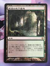 MTG　《新緑の地下墓地/Verdant Catacombs》　ZEN　日本語_画像1