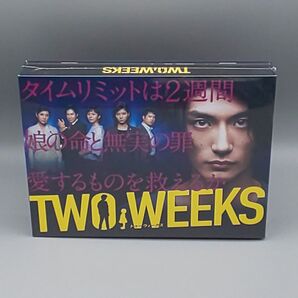 TWO WEEKS 未開封DVD-BOX 三浦春馬 芳根京子 比嘉愛未 三浦貴大 磯村勇斗 稲垣来泉 高嶋政伸 黒木瞳