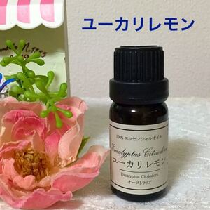 ★ユーカリレモン(ユーカリシトリオドラ)★高品質セラピーグレード精油★