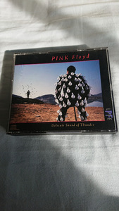 PINK FLOYD 「DELICATE SOUND OF THUNDER」 オリジナル盤 David Gilmour、Richard Wright関連