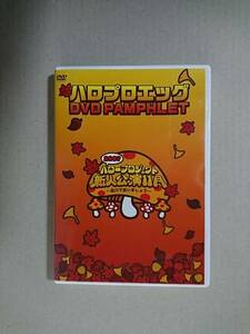 ■□ハロプロエッグ DVD PAMPHLET ／ 2007 ハロープロジェクト 新人公演 11月□■