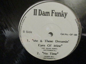 VA ： II Dam Funky 12'' // D'Angelo - Me & Those Dreamin' Eyes Of Mine (Def Squad Remix) / Group Therapy - East Coast, West Coast~