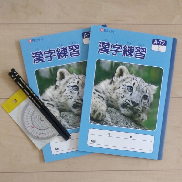 漢字練習ノート2冊+分度器+鉛筆2本セット