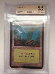 ●MTG● α アルファ 森(英語 BGS 9.5 GEM MINT) その１