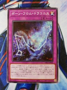 ◆A1458◆遊戯王OCG・ボーン・フロム・ドラコニス ノーマル DBGI-JP044・美品◆