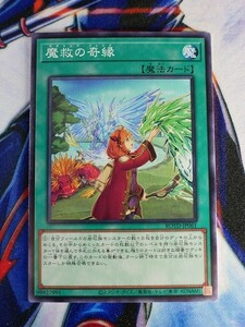 ◆B1931◆遊戯王OCG・魔救の奇縁 ノーマル ROTD-JP061◆