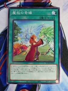 ◆A1930◆遊戯王OCG・魔救の奇縁 ノーマル ROTD-JP061・美品◆