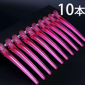 10本 新品 ダッカールピン ヘアクリップ ヘアピンセルフカット ピン 美容業界 ダッカール #bi-sd0105
