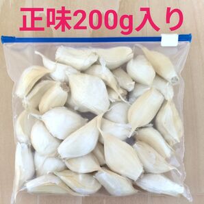 ●令和7年産 青森県産 バラにんにく② 正味200g入り