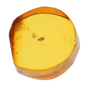 . another document natural insect entering amber loose 3.615ct HN-6141