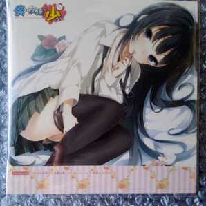 ★☆ 三日月夜空 柏崎星奈 楠幸村 志熊理科 羽瀬川小鳩 高山マリア スリーブケース 僕は友達が少ない 特典