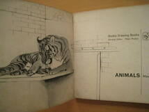 洋書Drawing ANIMALS/MAURICE WILSON/モーリス・ウィルソン/動物イラストの描き方/studio drawing books/1964年？/骨格/動き/絵画/デッサン_画像2