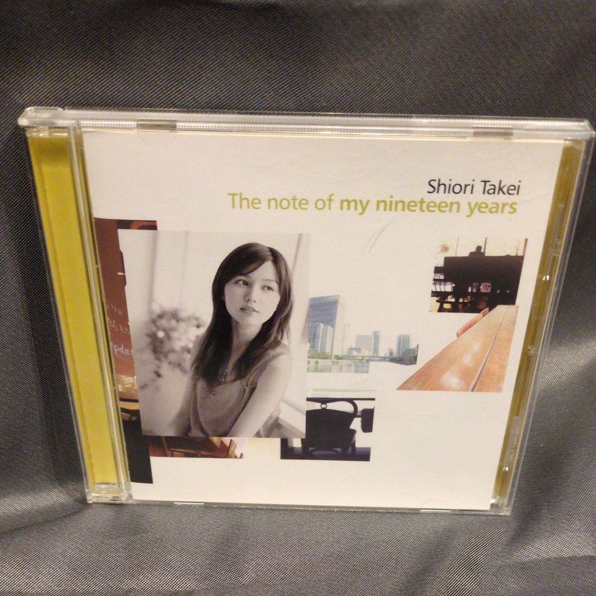 The note of my nineteen years/竹井詩織里