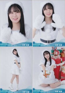 STU48 矢野帆夏 月別 netshop 生写真 2020 12月 2020.12 4種コンプ