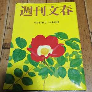 ☆週刊文春2020年9月17日号 蒔田彩珠 菅義偉「美談の裏側」「半沢直樹」を10倍楽しむ7つの秘密 8割おじさん直撃110分 志村けん ワイド☆