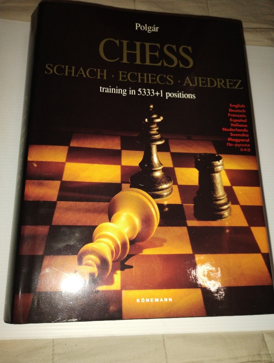 絶版 ハードカバー 美品　Polgr Chess Training in 5333+1 Positions