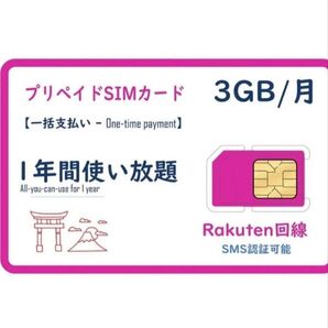 プリペイドSIMカード 楽天回線 データ通信 3GB/月 一年間利用 SMS受信可