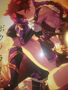 【Fate/Grand Order】FGO 同人誌 SHIS(Zトン様) アレキ受 ボクノライバル