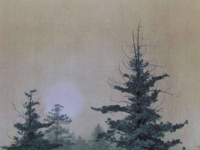 Yuji Sasaki, [Forêt de cèdres de l'aube], Provenant d'une rare collection d'art encadrant, Nouveau cadre inclus, En bonne condition, frais de port inclus, peintre japonais, Peinture, Peinture à l'huile, Nature, Peinture de paysage