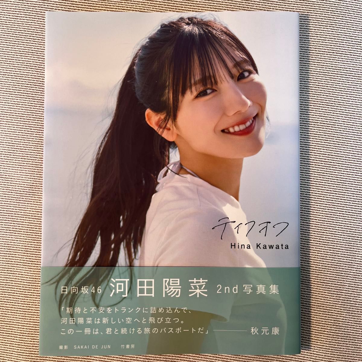 アザーカット 応募券×10 日向坂46 河田陽菜 2nd写真集 テイクオフ