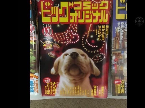 ビックコミックファン待望の2015年版全24巻大公開です。