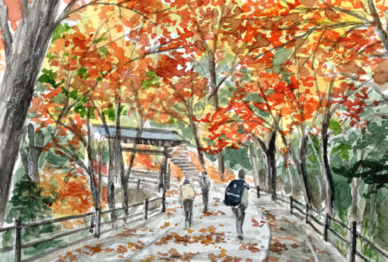 Nr. 7492 Der Weg zum Berg Takao / Chihiro Tanaka (Vier Jahreszeiten Aquarell) / Kommt mit einem Geschenk, Malerei, Aquarell, Natur, Landschaftsmalerei