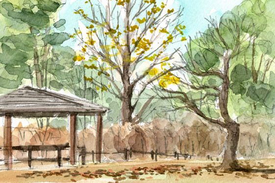 7484 만추의 오후(고이시카와 식물원) / 다나카 치히로(사계 수채화) / 선물부속, 그림, 수채화, 자연, 풍경화