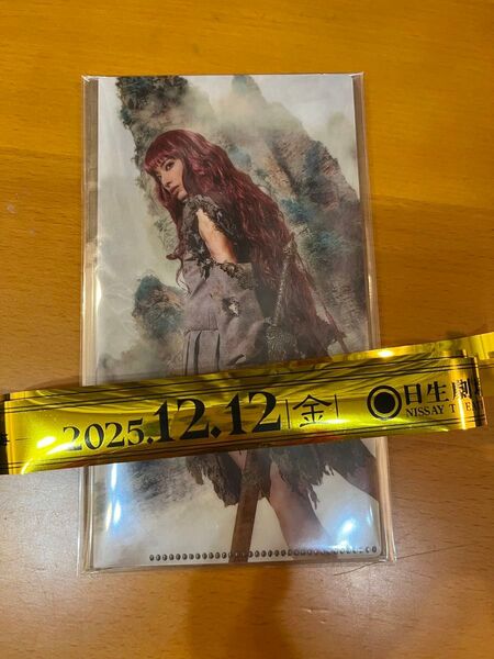 十二国記 日比谷シャンテオリジナル チケットホルダー 銀テ 柚香光