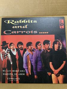 RABBITS & CARROTS / WE GOT MORE SOUL / 45レコード / JBカバー