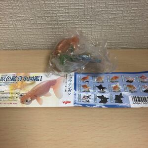 yujin原色鑑賞魚図鑑Ⅰ【チョウテンガン】未使用品