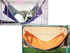 домашнее животное кошка собака гамак nyamok спальный мешок мягкий 4 сезон двоякое применение S размер # точка × orange 