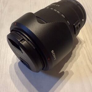 SONY 高倍率ズームレンズ E 18-135mm F3.5-5.6 OSS ソニー Eマウント用 SEL18135