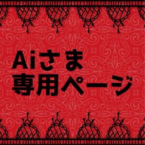 【Aiさま専用ページ】