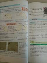 新編　生物基礎　Biology 文部科学省検定済教科書　生基305　高校理科　啓林館　2019【即決】_画像6