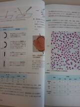 新編　生物基礎　Biology 文部科学省検定済教科書　生基305　高校理科　啓林館　2019【即決】_画像4