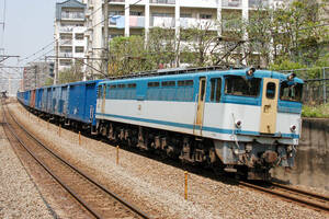 鉄道 デジ 写真 画像 EF65-1093 辛子 PF 貨物列車 5