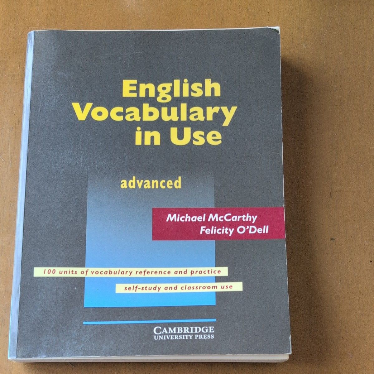 English Vocabulary in Use Advanced Michael McCarthy 