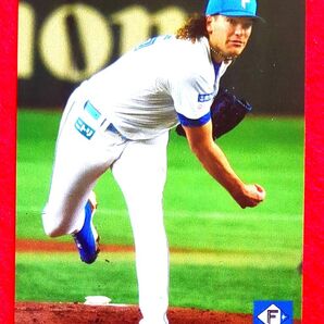 2023 カルビー プロ野球チップス ポンセ 北海道日本ハムファイターズ