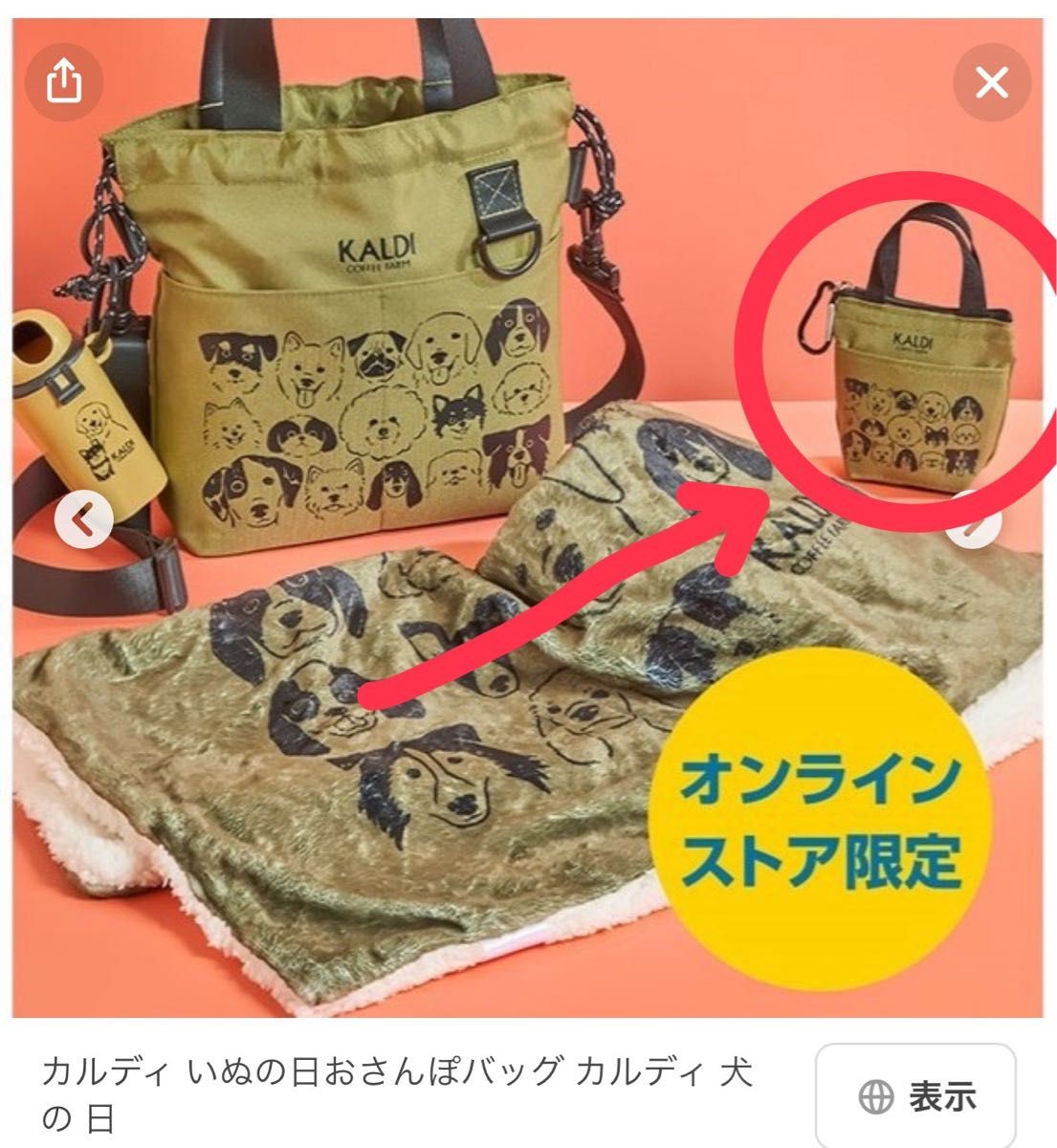 KALDI いぬの日おさんぽバッグ カルディ 犬の日 ポーチ 2024年 秋 おやつケース