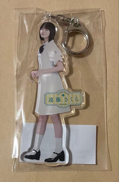 乃木坂46 same numbers 個別全身 アクリルキーホルダー 遠藤さくら 1点 アクキー アクリルスタンド アクスタ