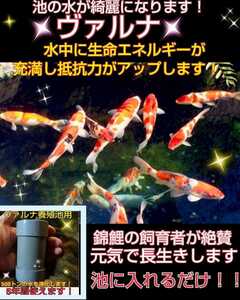 池の透明度が抜群に【ヴァルナ池用】病原菌や感染症など有害物質を強力抑制！錦鯉を病気から守ります！池に入れるだけで５００トン浄化！