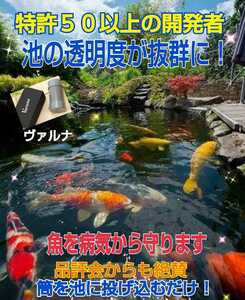 Прозрачность пруда выдающаяся. Защитите Nishikigoi от болезни! Очистка 500 тонн, просто поместив его в пруд!