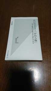 「江戸のマスコミ「かわら版」 「寺小屋式」で原文から読んでみる」吉田 豊 光文社新書