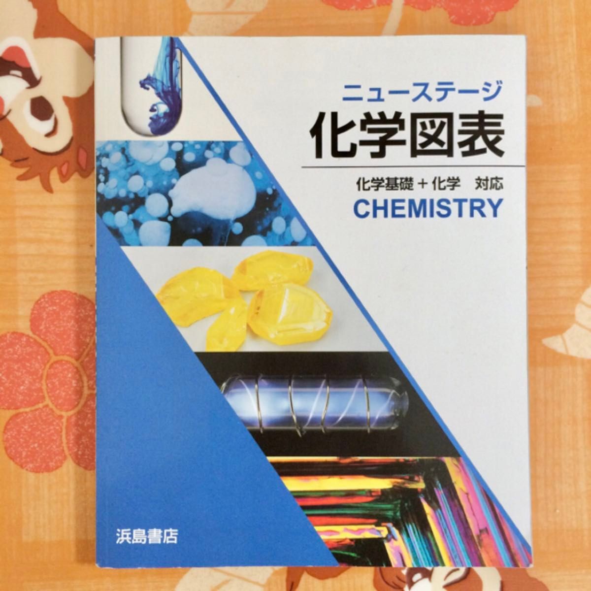 ニューステージ 化学図表　浜島書店　高校　教科書　参考書