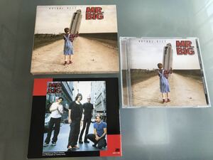 【CD】MR.BIG ACTUAL SIZE ミスタービッグ Richie Kotzen リッチーコッツェン 【送料無料】