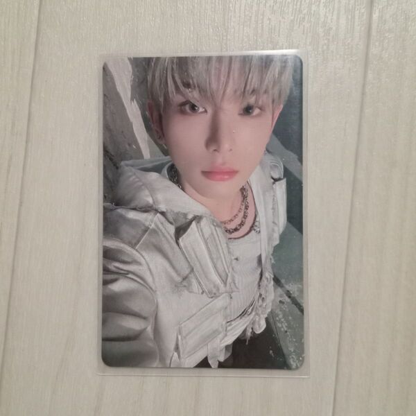 &TEAM HARUA ハルア 会場限定 購入特典 トレカ 兵庫 神戸