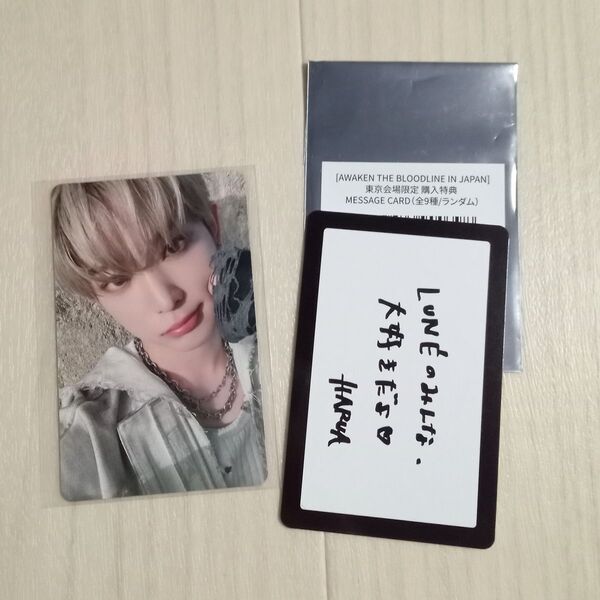 &TEAM HARUA ハルア 会場限定 購入特典 トレカ メッセージカード 東京 有明
