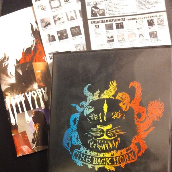 THE BACK HORN LIVE IN THE SUN ライブインザサン DVD